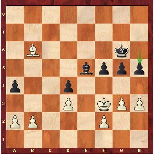 Gibraltar power 9 - MVL - Maxime Vachier-Lagrave