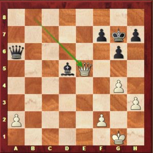 Carlsen-Mvl, ronde 9.