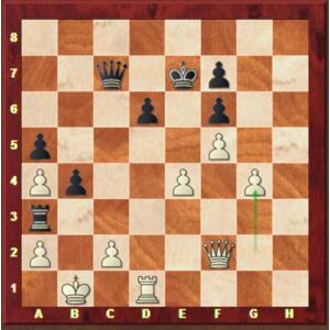 Carlsen-Mvl, Rapid round 5.