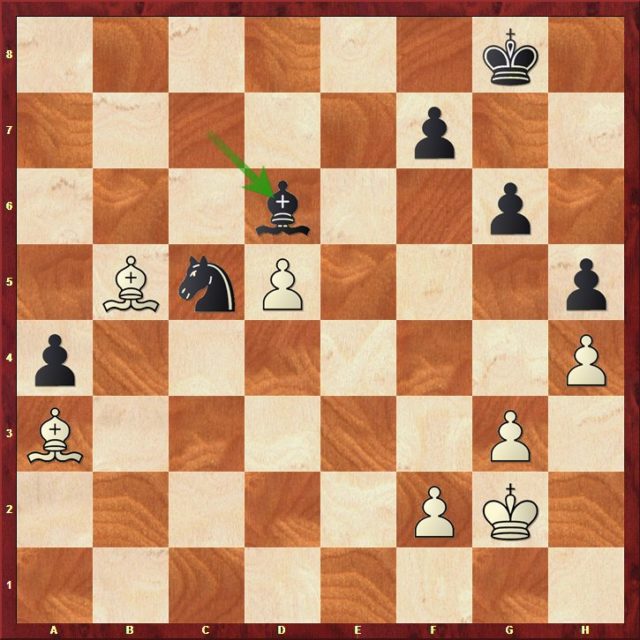 Mvl-Radjabov, Round 9.