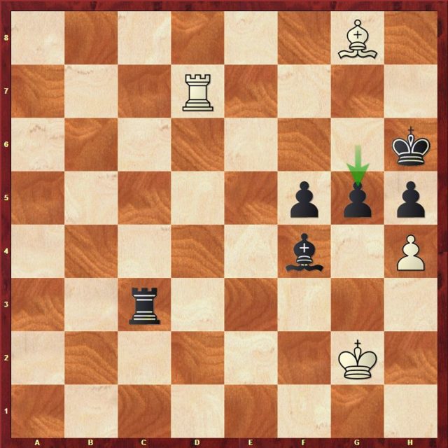 Carlsen-Mvl, Ronde 8.